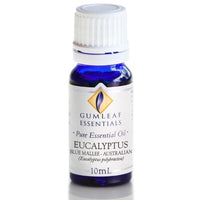 Essential Oil Blend 10ml Eucalyptus Blue Mallee