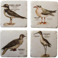 Set Of 4 Birds Print Coasters