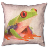 Cushion 45x45cm Single Frog